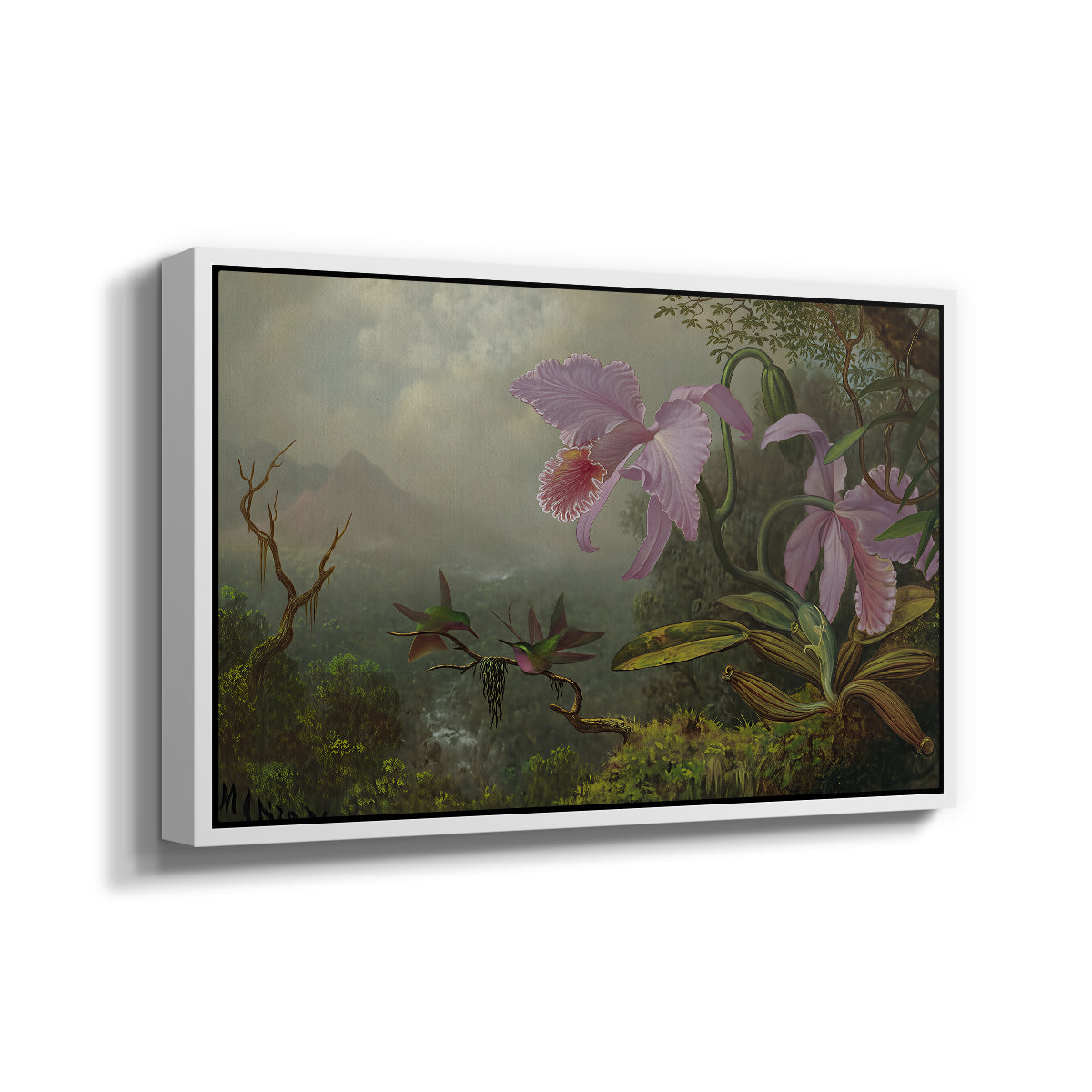 Two Sun Angel Hummingbirds on a Branch, c. 1890-1904 - Floater Framed Canvas Print