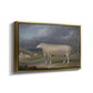 A Border Leicester Ewe, c. 1795-1800 - Floater Framed Canvas Print