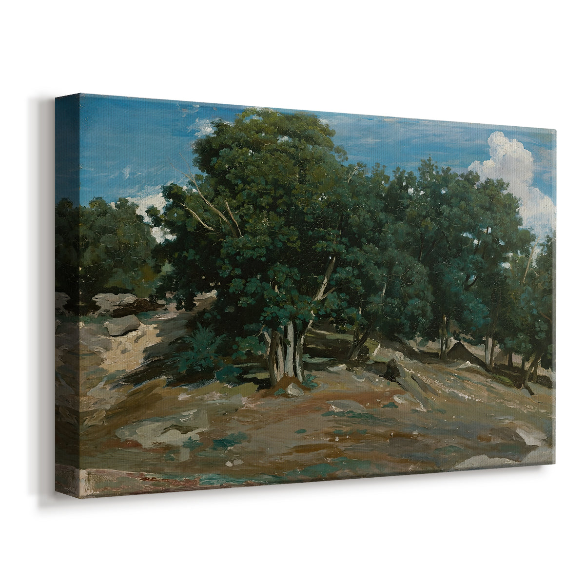 Canvas art print featuring a woodland scene with mature trees and filtered light, displayed at an angle