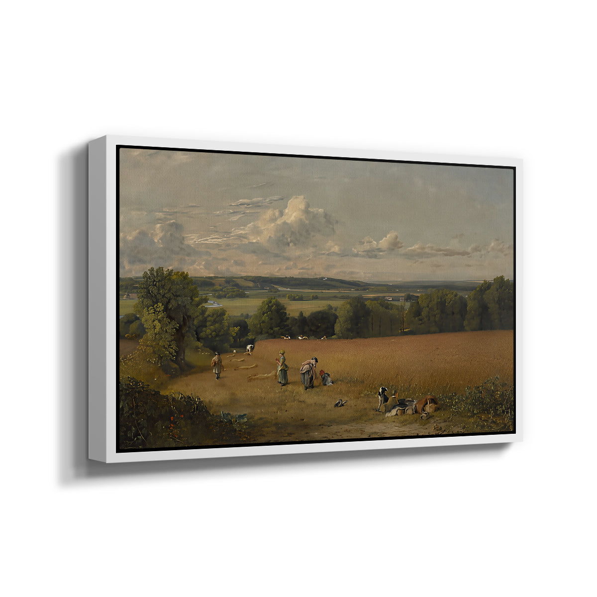 The Wheat Field, 1816 - Floater Framed Canvas Print