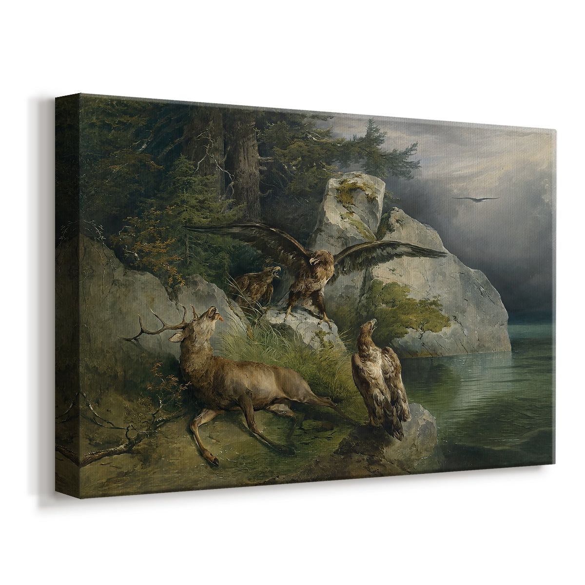 Canvas art print featuring a wildlife scene with predator birds and fallen animal, displayed at an angle