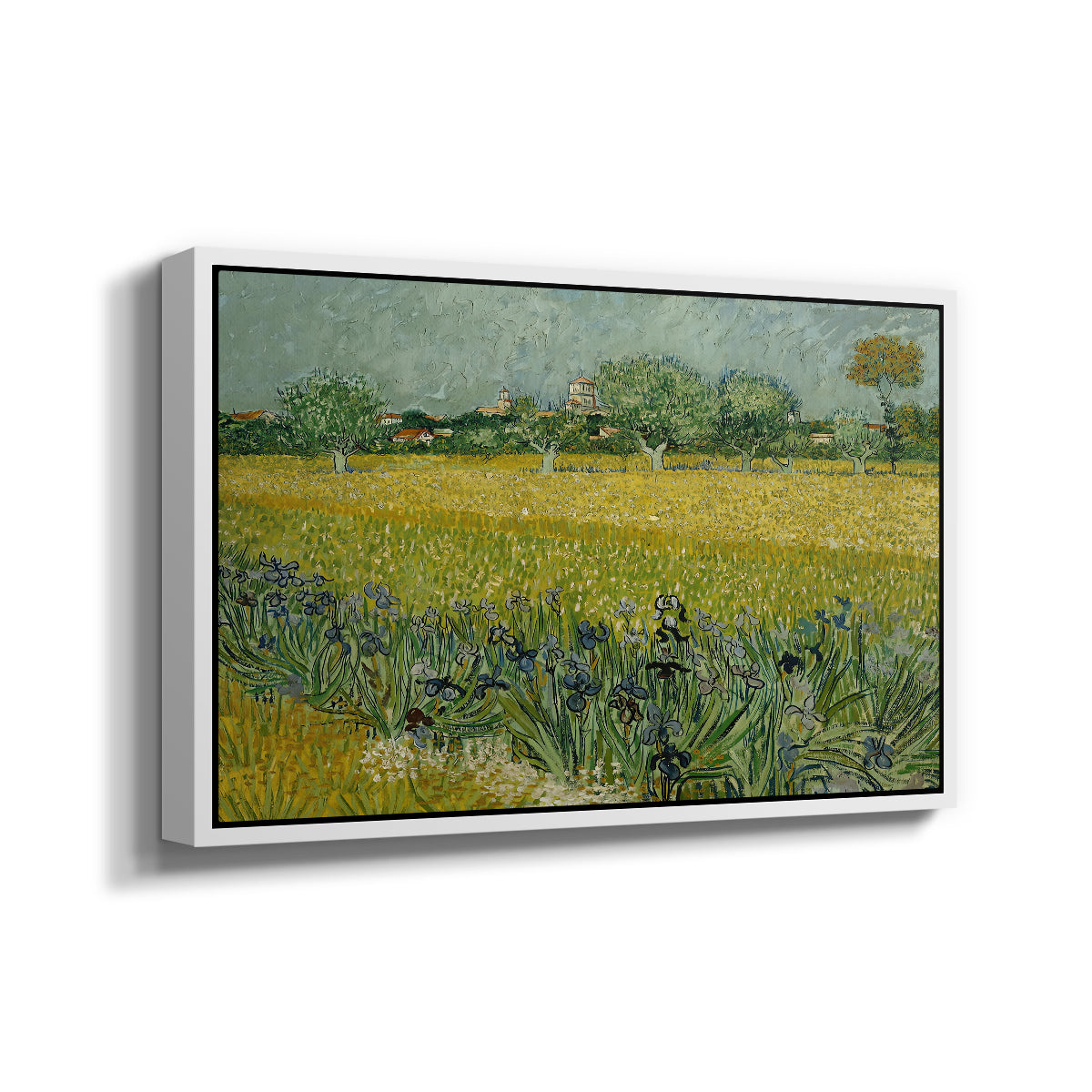 Field with Irises near Arles, 1888 - Floater Framed Canvas Print