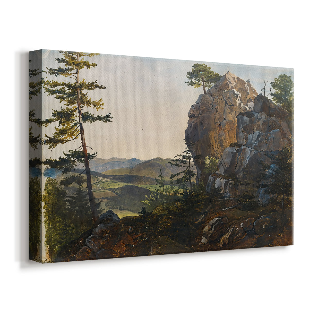 Canvas art print featuring a natural scene with rocks and trees, displayed at an angle