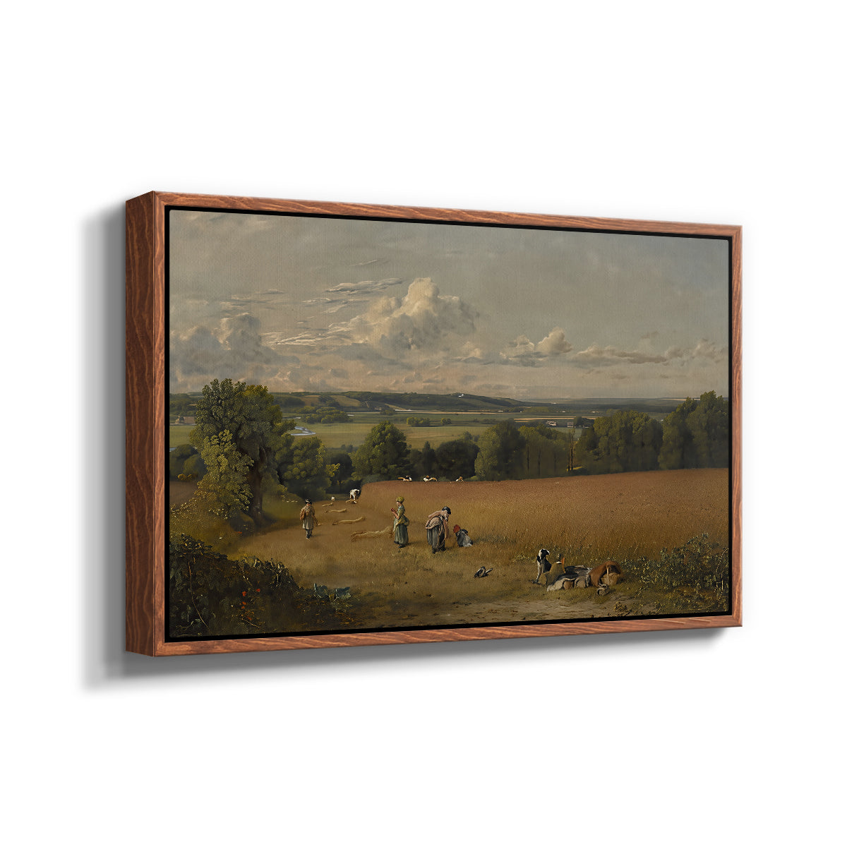 The Wheat Field, 1816 - Floater Framed Canvas Print