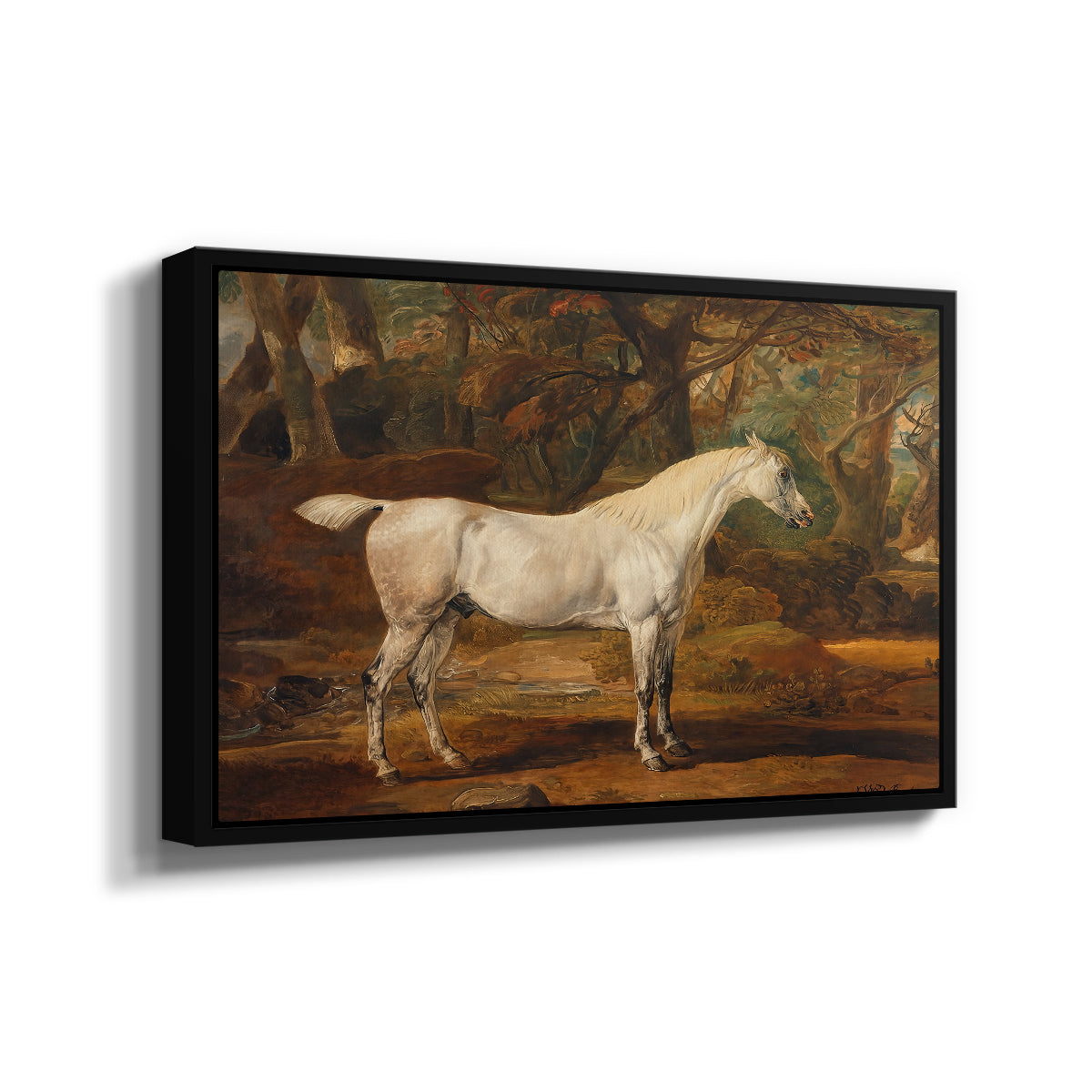 Grey Arabian Stallion, Property of Sir Watkin Williams-Wynn, c. 1817 - Floater Framed Canvas Print