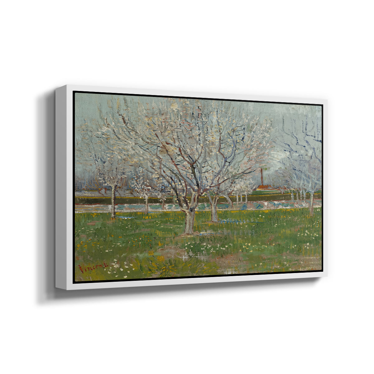Orchard in Blossom (Plum Trees), 1888 - Floater Framed Canvas Print
