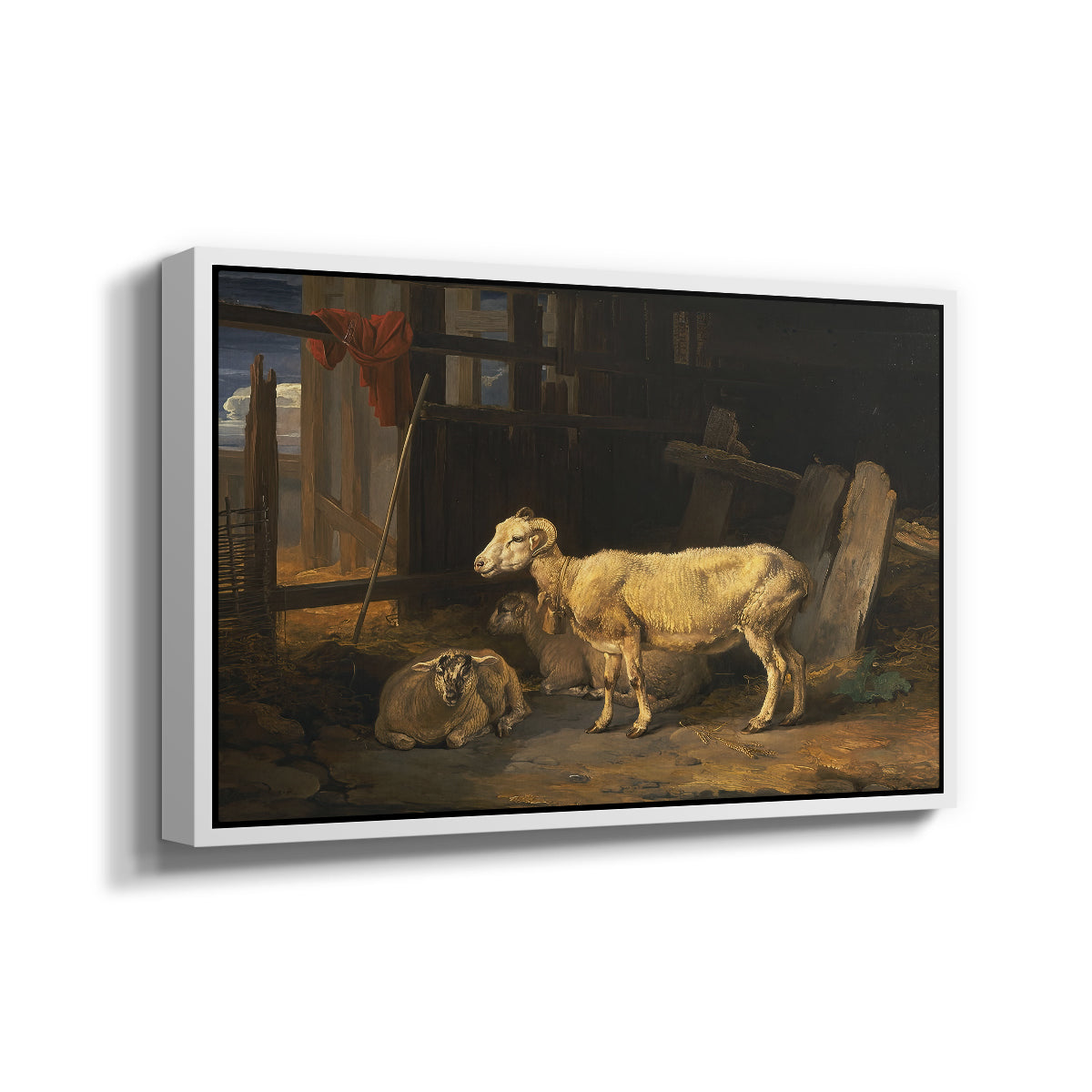 Sheep in a Stable, 1810 - Floater Framed Canvas Print