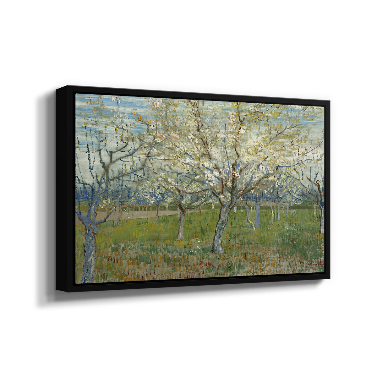 The Pink Orchard, 1888 - Floater Framed Canvas Print