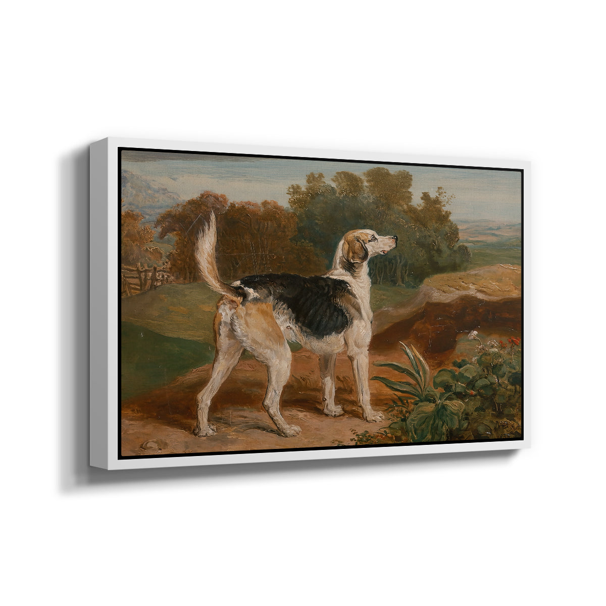 Ravager, One of the Lambton Hounds, 1835 - Floater Framed Canvas Print