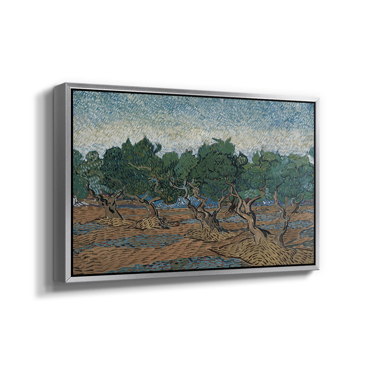 Olive Trees, 1889 - Floater Framed Canvas Print
