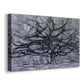 Canvas art print featuring an abstract tree study, displayed at an angle