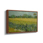 Field with Irises near Arles, 1888 - Floater Framed Canvas Print