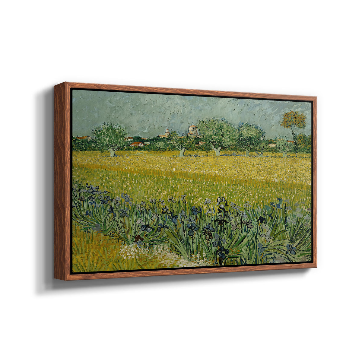 Field with Irises near Arles, 1888 - Floater Framed Canvas Print