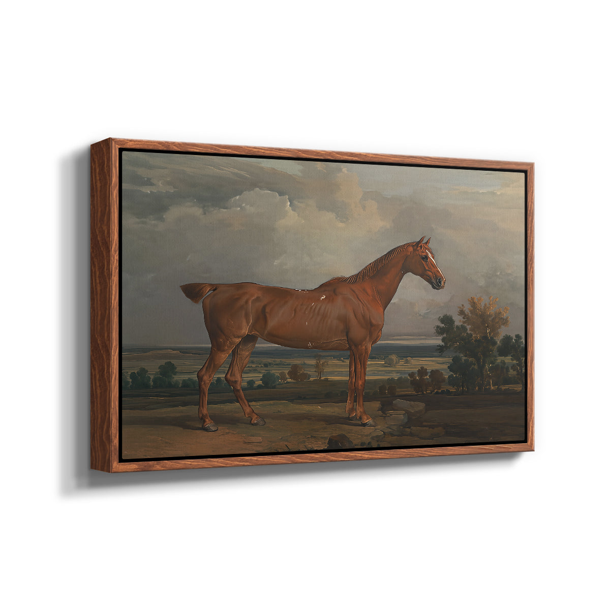 Hunter in a Landscape, 1810 - Floater Framed Canvas Print