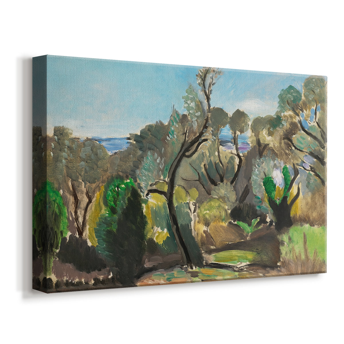 Canvas art print featuring a countryside view with vegetation and distant horizon, displayed at an angle