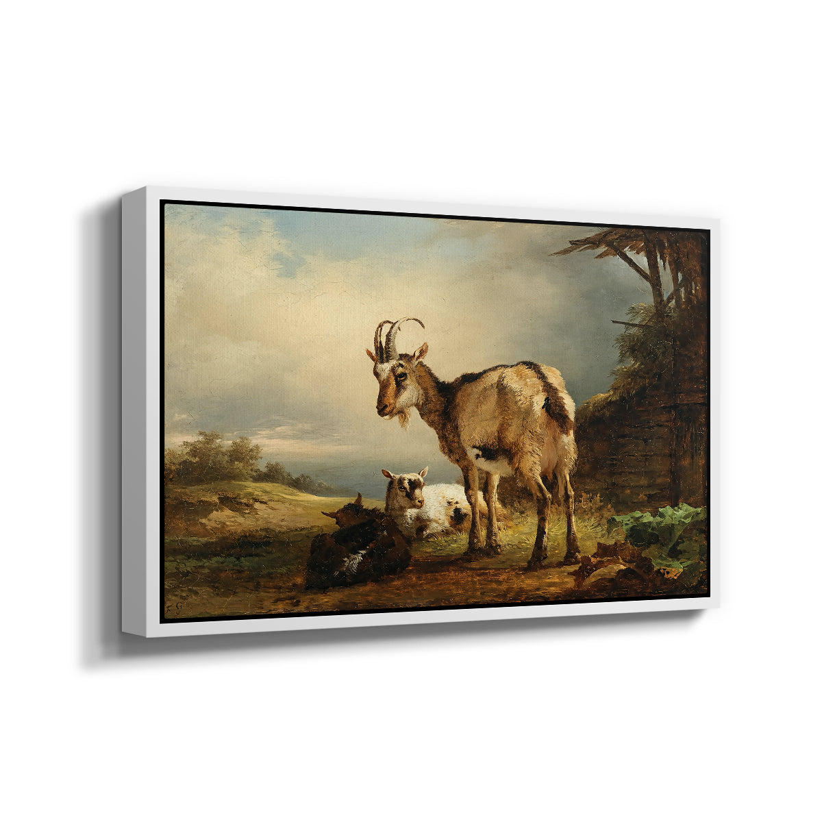 A Goat with Two Kids - Floater Framed Canvas Print