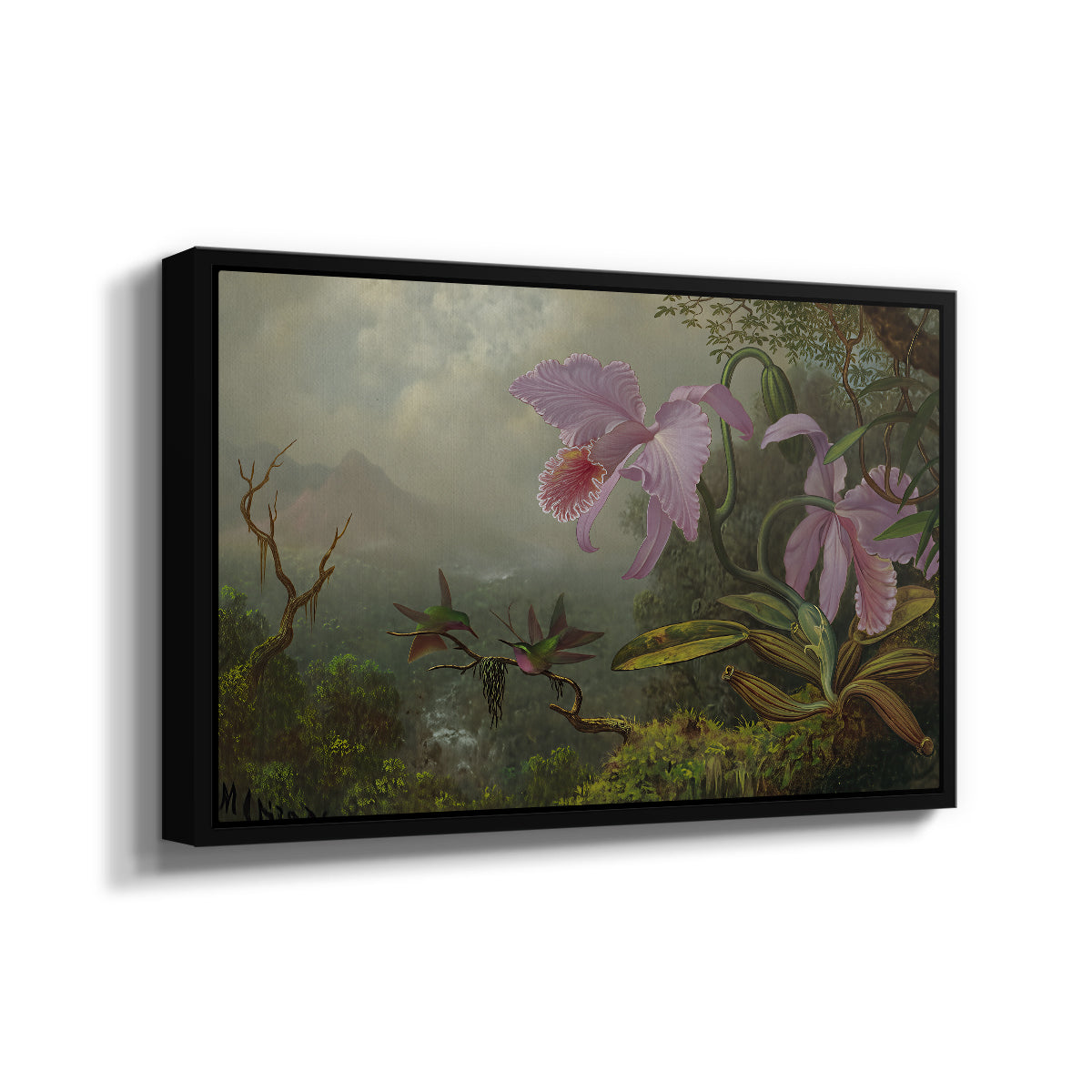 Two Sun Angel Hummingbirds on a Branch, c. 1890-1904 - Floater Framed Canvas Print
