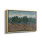 Olive Trees, 1889 - Floater Framed Canvas Print