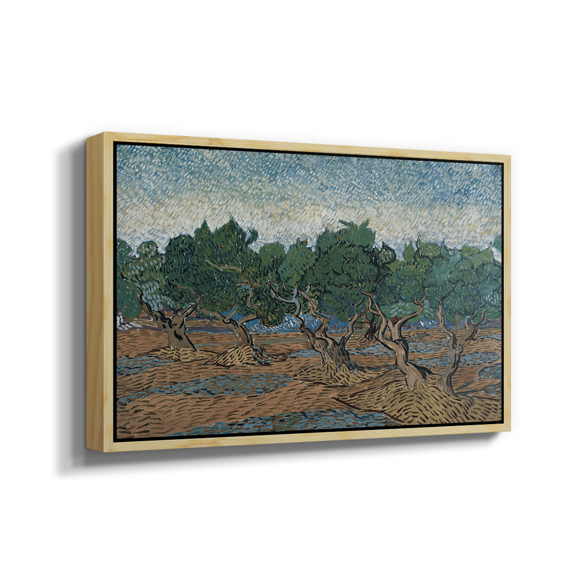 Olive Trees, 1889 - Floater Framed Canvas Print