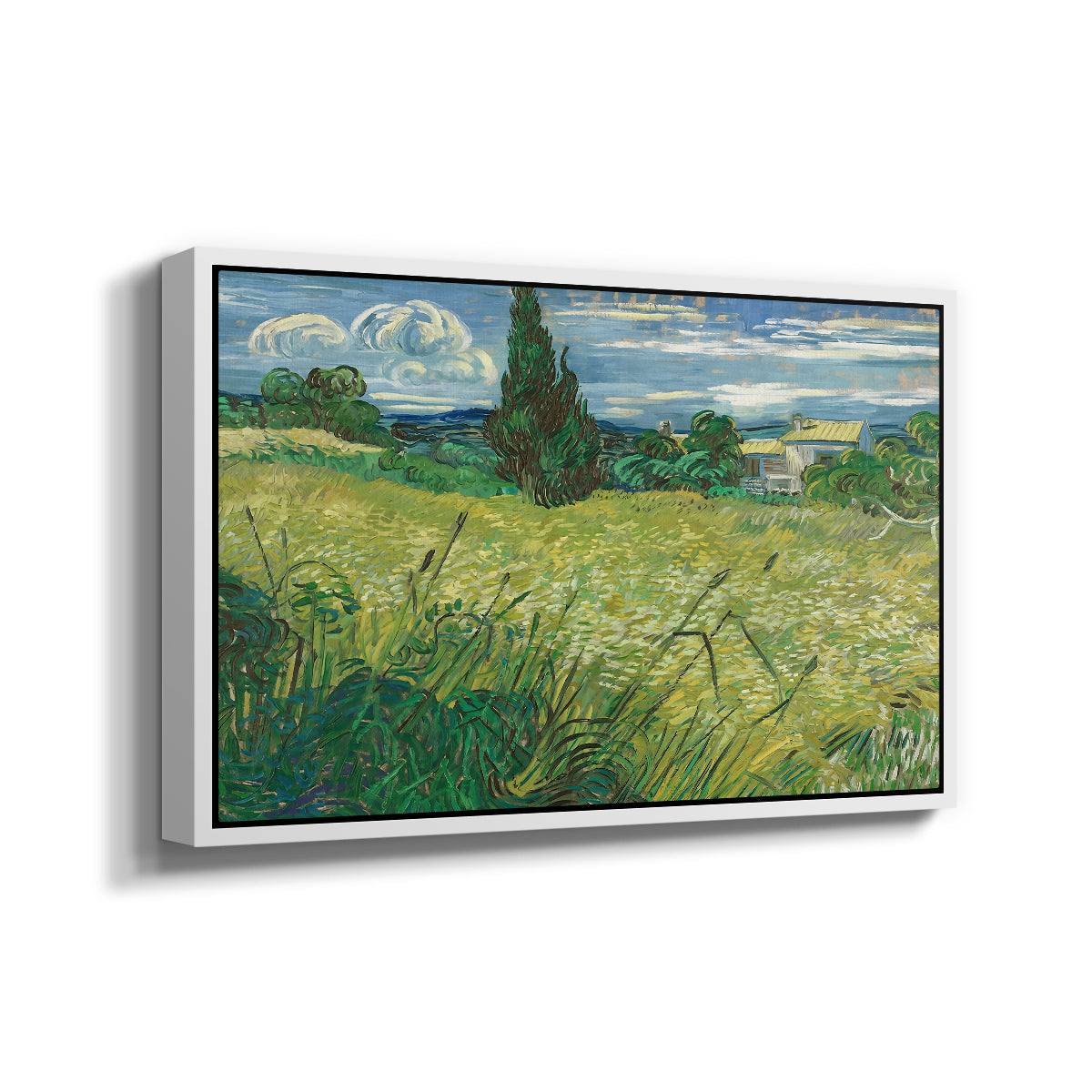 Green Wheat Field with Cypress, 1889 - Floater Framed Canvas Print