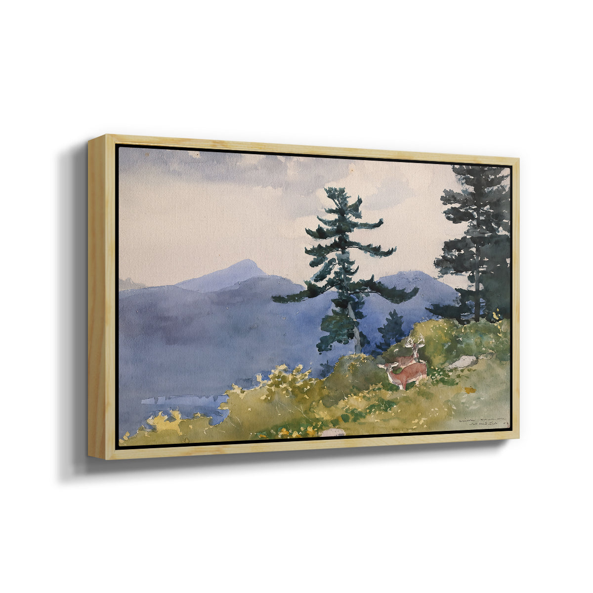North Woods Club, Adirondacks, 1892 - Floater Framed Canvas Print