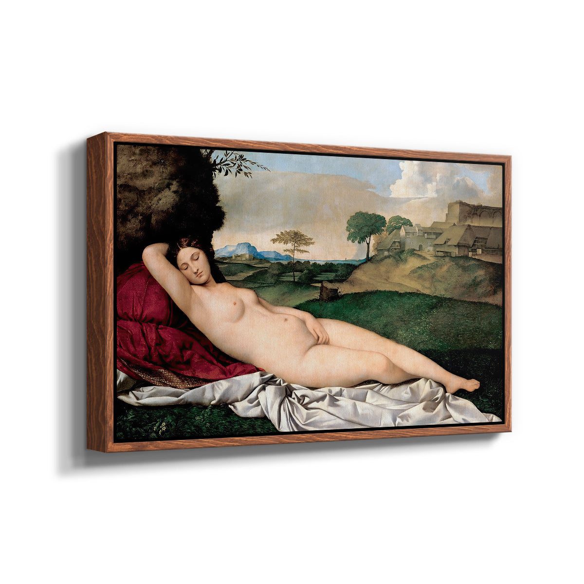 Sleeping Venus, c. 1510 - Floater Framed Canvas Print