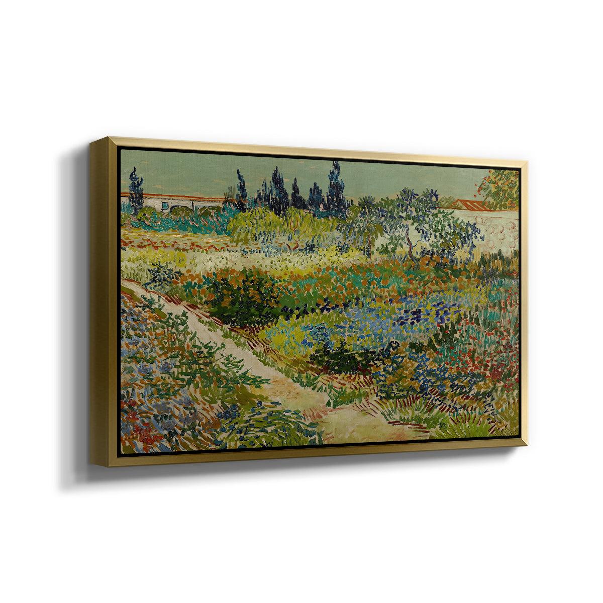 Garden at Arles, 1888 - Floater Framed Canvas Print
