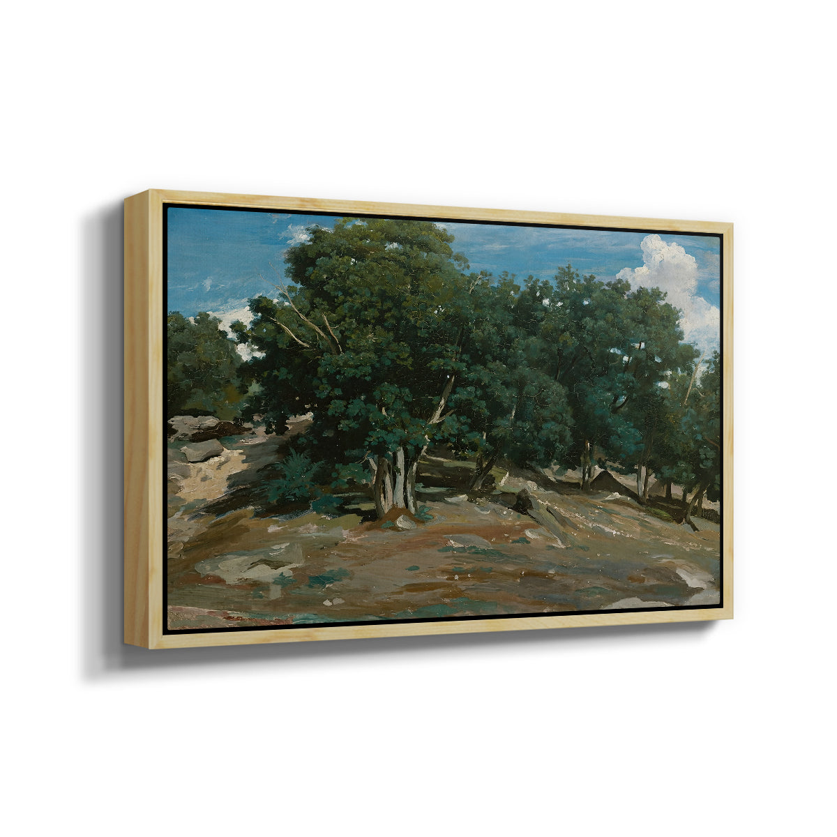 Fontainebleau: Oak Trees at Bas-Bréau, c. 1830-1835 - Floater Framed Canvas Print