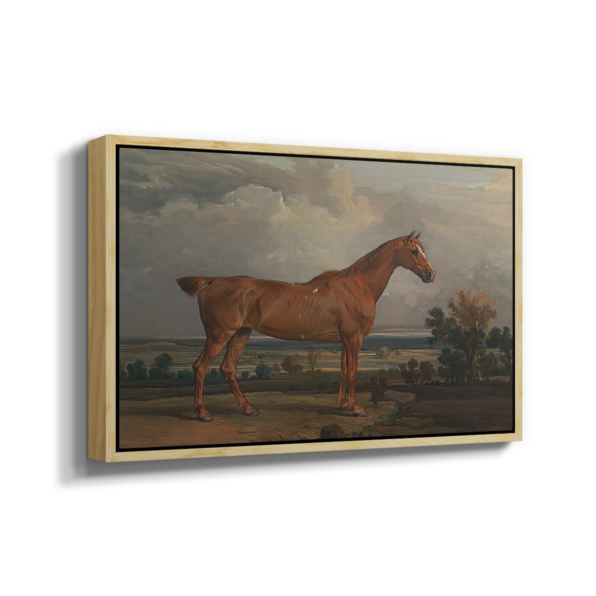 Hunter in a Landscape, 1810 - Floater Framed Canvas Print