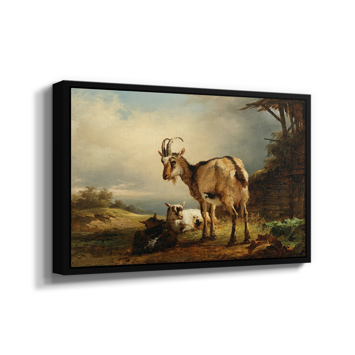 A Goat with Two Kids - Floater Framed Canvas Print