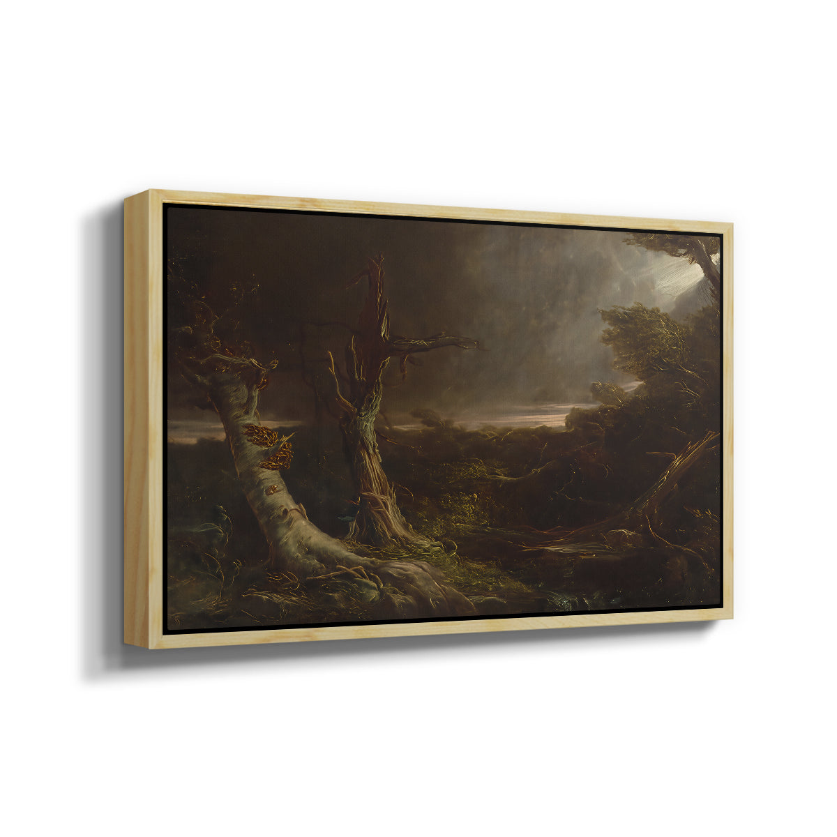 Tornado in an American Forest, 1835 - Floater Framed Canvas Print