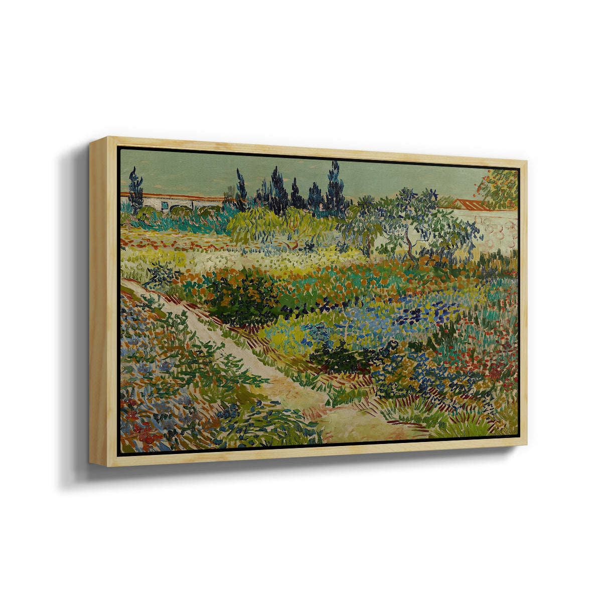Garden at Arles, 1888 - Floater Framed Canvas Print