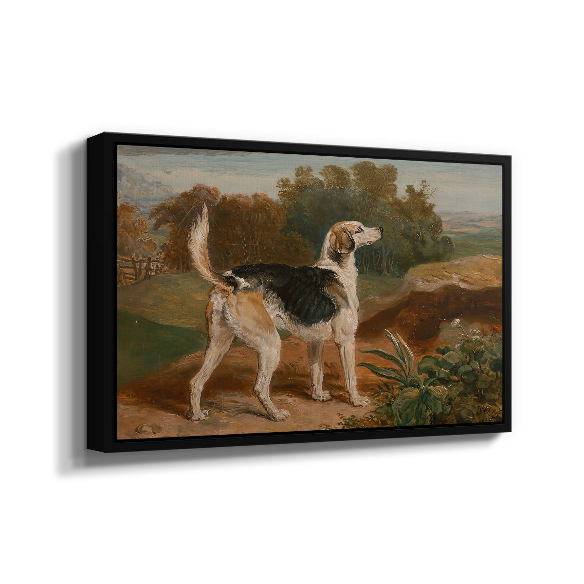 Ravager, One of the Lambton Hounds, 1835 - Floater Framed Canvas Print