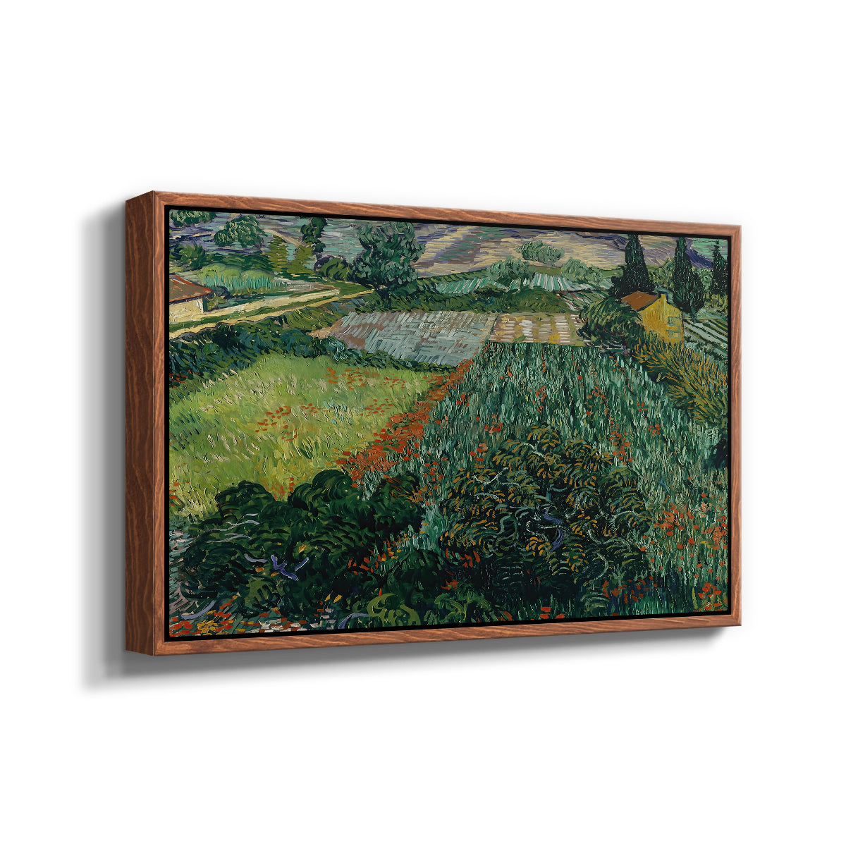 Field with Poppies, Saint-Rémy, 1889 - Floater Framed Canvas Print