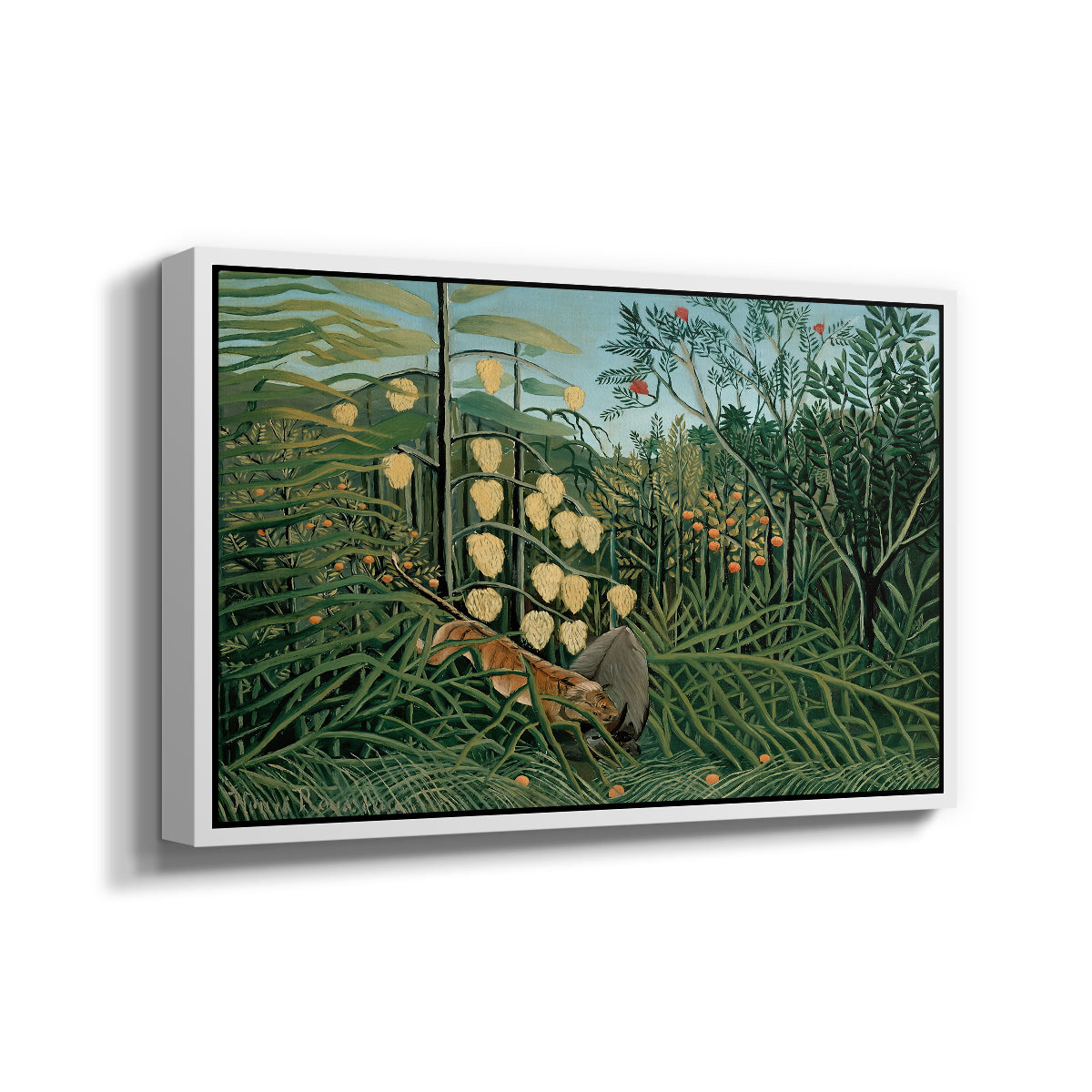Fight Between a Tiger and a Buffalo, 1908 - Floater Framed Canvas Print