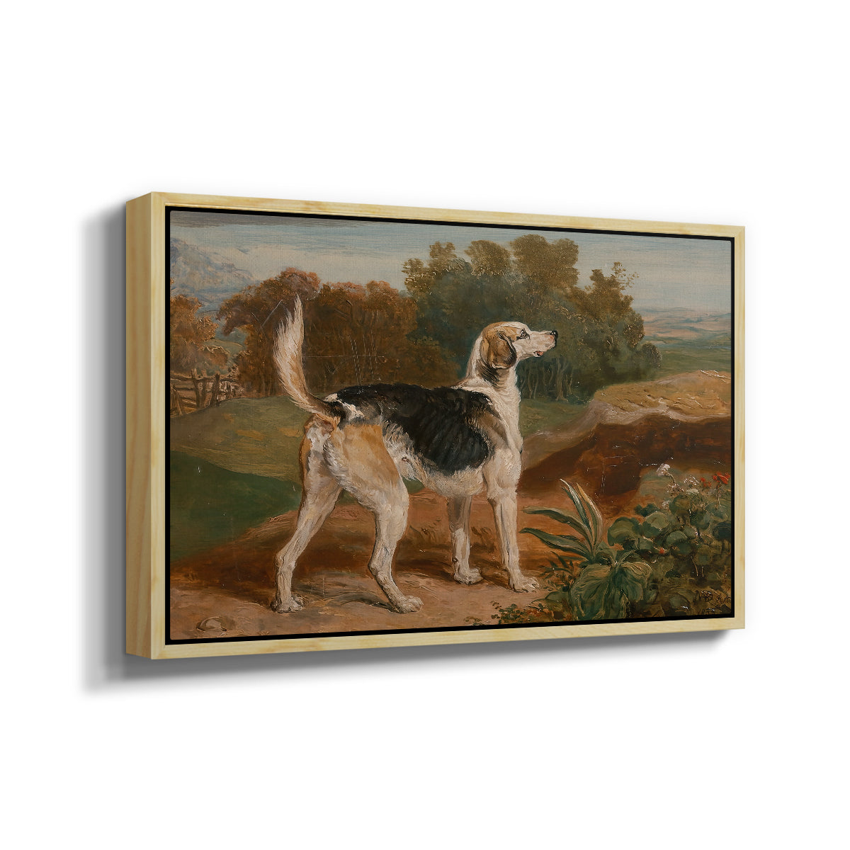 Ravager, One of the Lambton Hounds, 1835 - Floater Framed Canvas Print