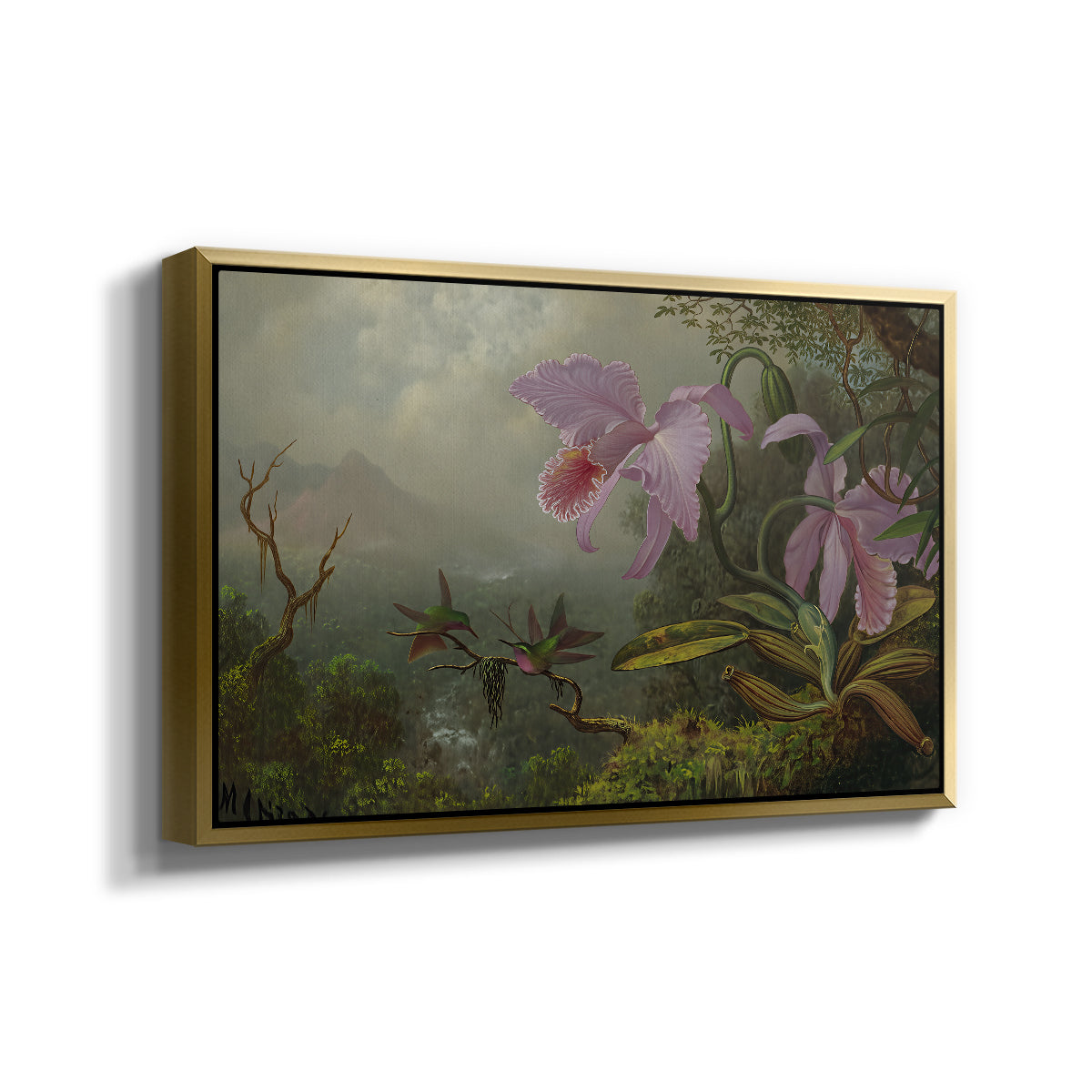 Two Sun Angel Hummingbirds on a Branch, c. 1890-1904 - Floater Framed Canvas Print