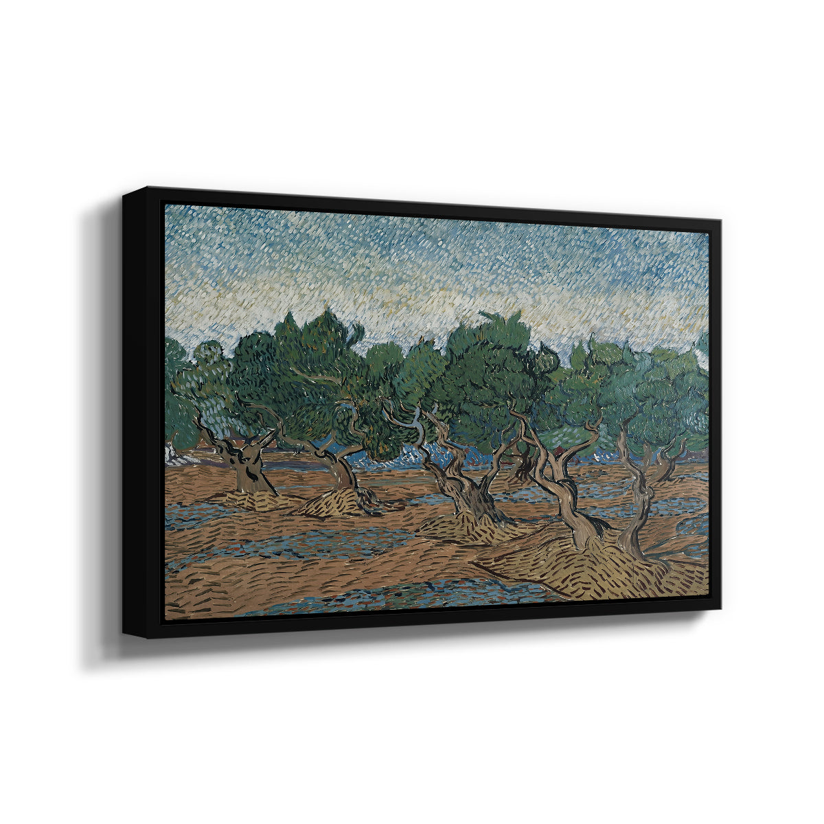 Olive Trees, 1889 - Floater Framed Canvas Print