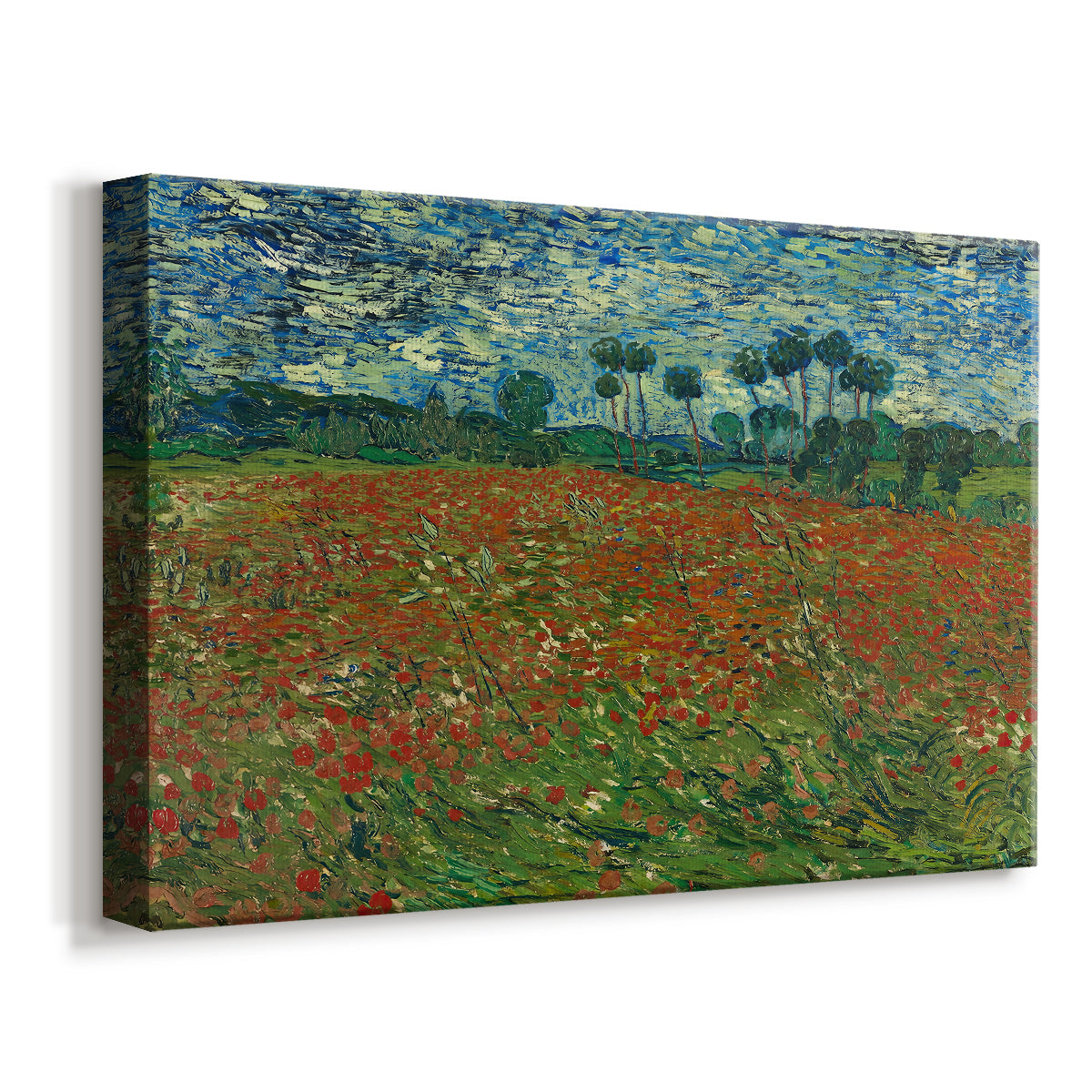 Canvas art print featuring a countryside scene with scattered flowers across grass, displayed at an angle