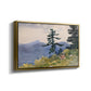 North Woods Club, Adirondacks, 1892 - Floater Framed Canvas Print
