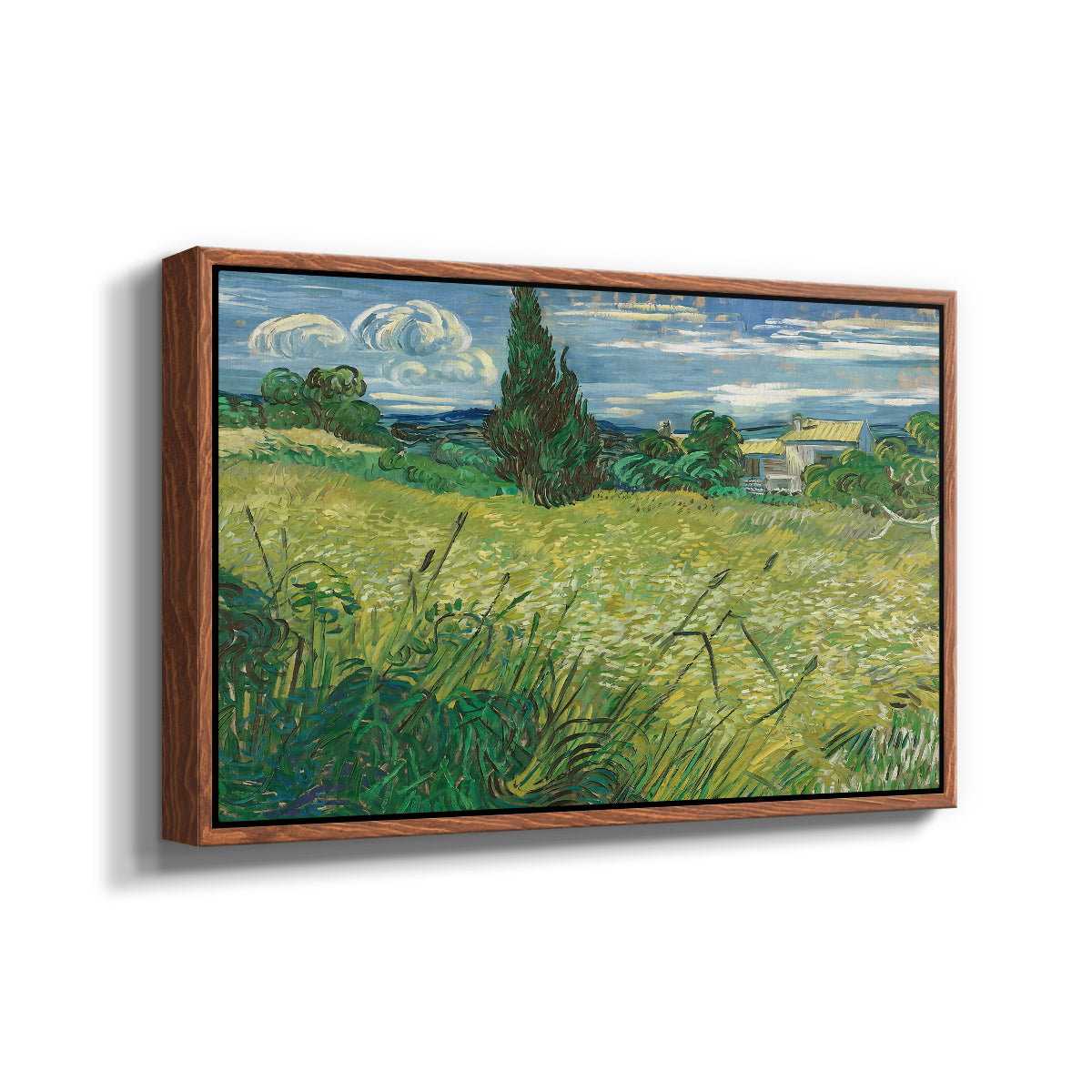 Green Wheat Field with Cypress, 1889 - Floater Framed Canvas Print