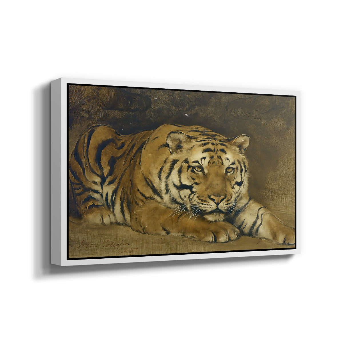 Study of a Tiger for Circe, 1885 - Floater Framed Canvas Print
