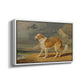 Rough-Coated Collie, 1809 - Floater Framed Canvas Print