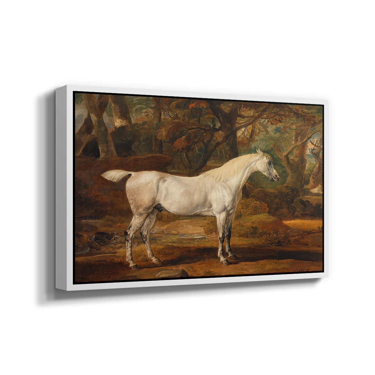 Grey Arabian Stallion, Property of Sir Watkin Williams-Wynn, c. 1817 - Floater Framed Canvas Print