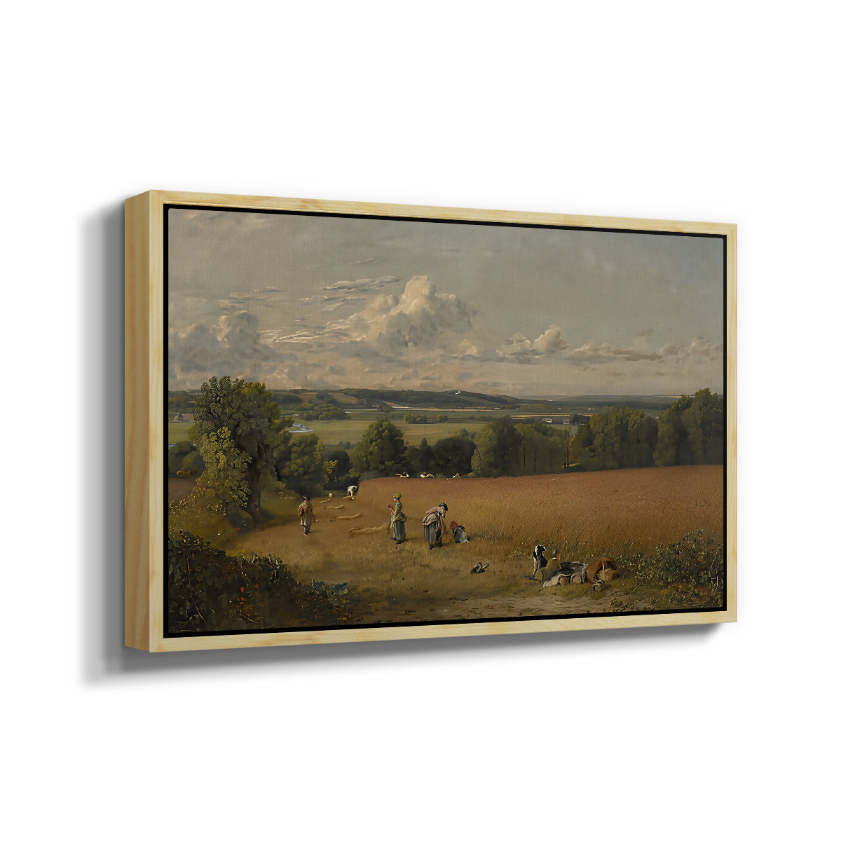 The Wheat Field, 1816 - Floater Framed Canvas Print