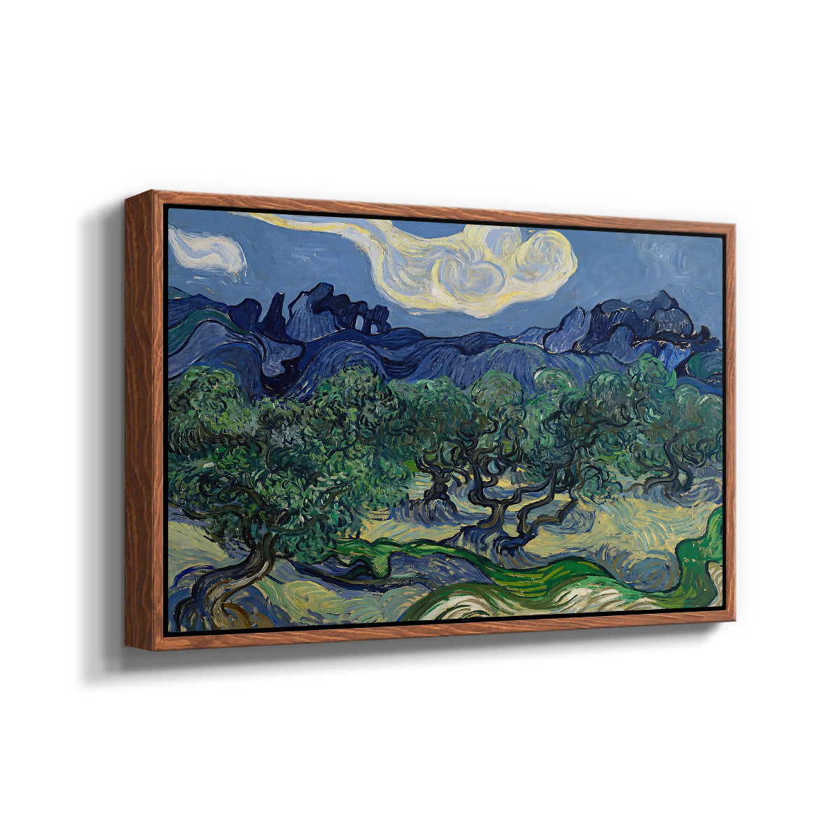 Olive Trees with the Alpilles in the Background, 1889 - Floater Framed Canvas Print