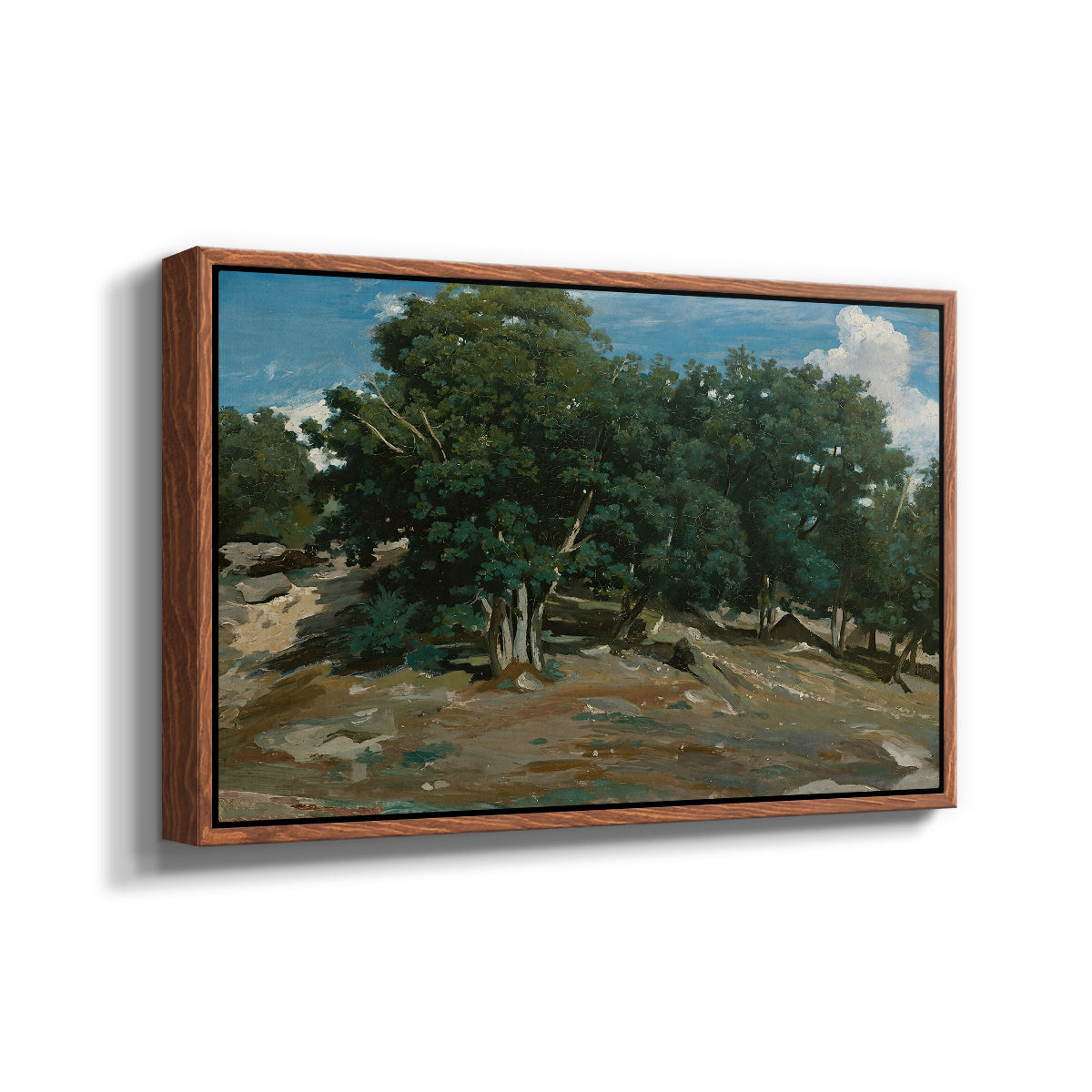 Fontainebleau: Oak Trees at Bas-Bréau, c. 1830-1835 - Floater Framed Canvas Print
