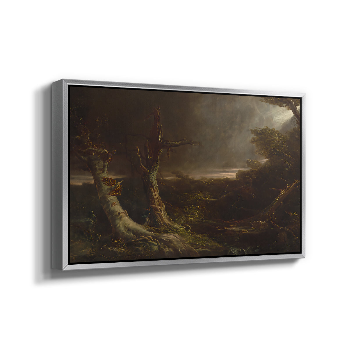 Tornado in an American Forest, 1835 - Floater Framed Canvas Print