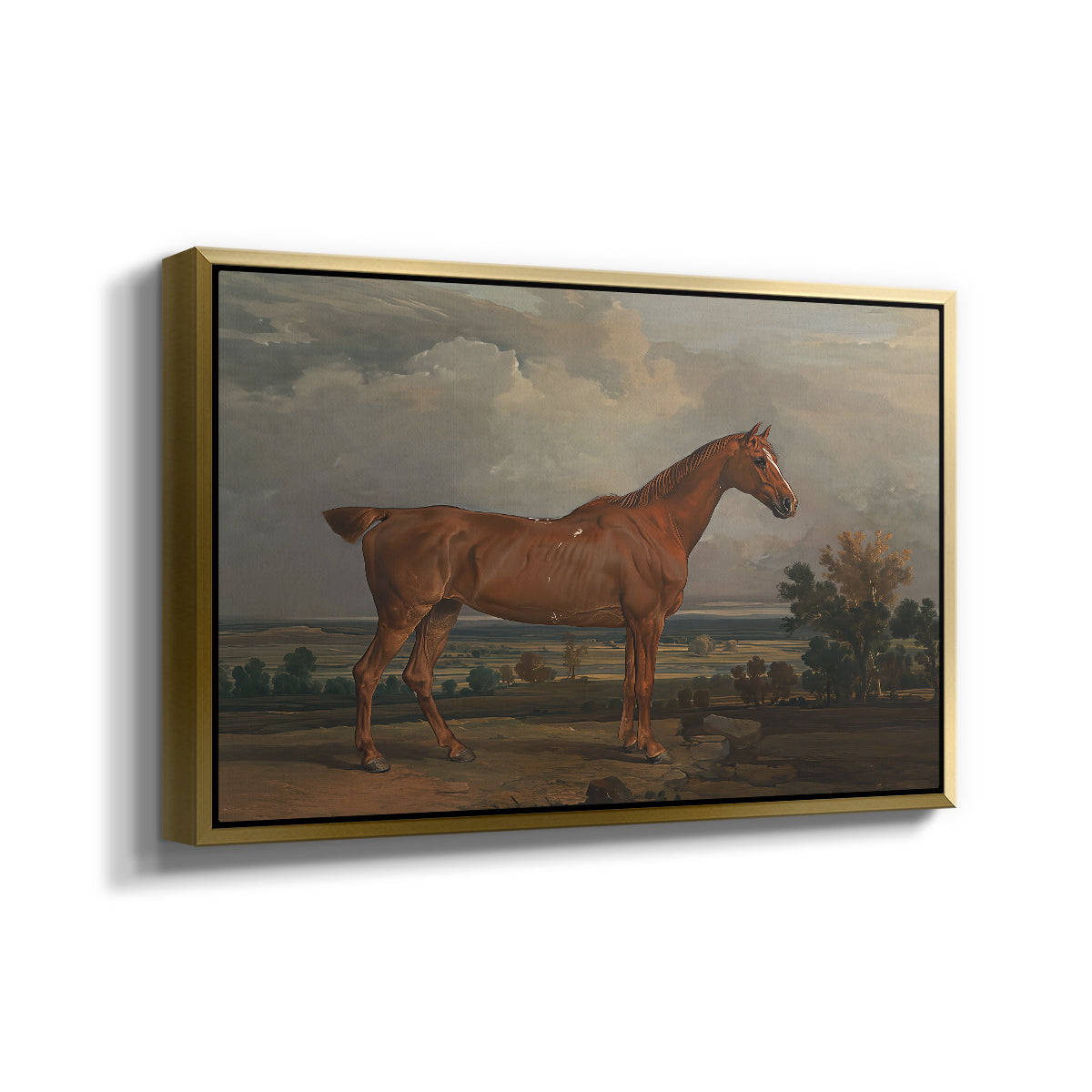 Hunter in a Landscape, 1810 - Floater Framed Canvas Print