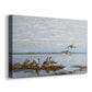Canvas art print featuring birds standing and resting along shoreline with soft grass and water, displayed at an angle